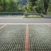 Cum să amenajezi un loc de parcare eco-friendly cu pavele ecologice