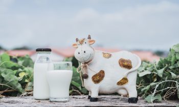 Comparativ: lapte de vacă vs. lapte de capră pentru bebeluși